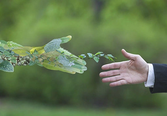 Environmental respect